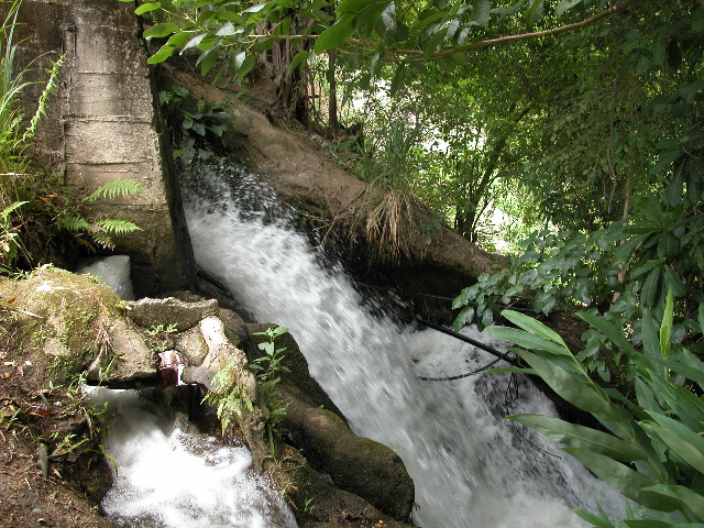 Archivo:PHEGaira27.jpg