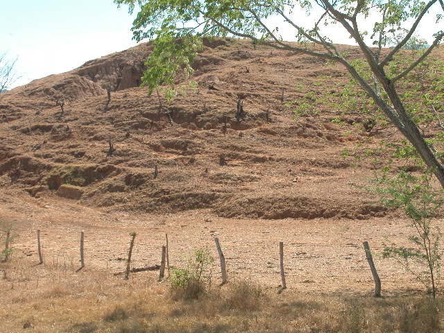 Archivo:55 erosion en carcavas en laderas sobrepastoreadas.jpg