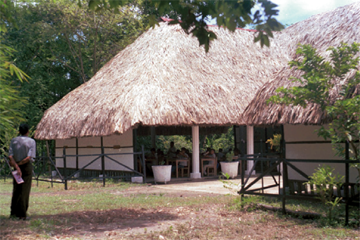 Archivo:La escuela.png