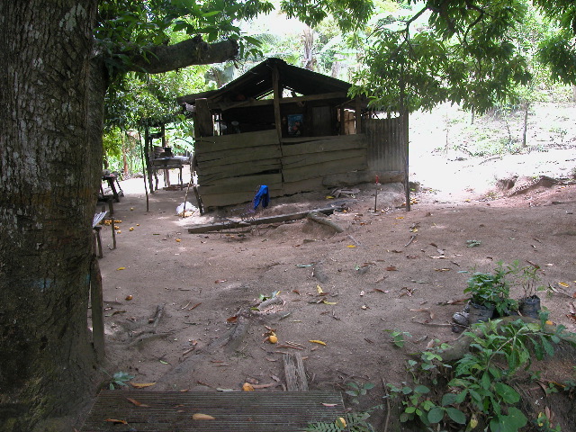 Archivo:PHEGaira19.jpg