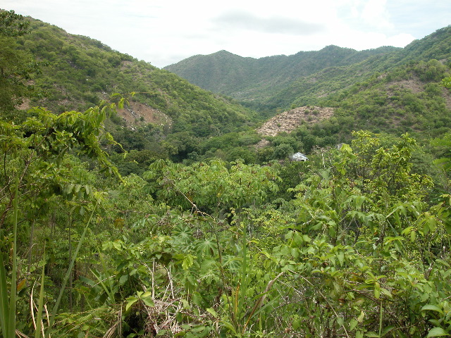 Archivo:PHEGaira6.jpg