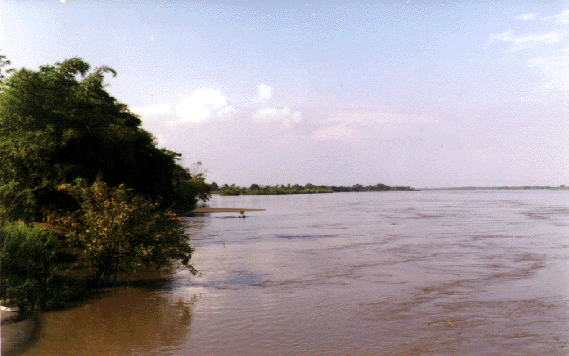 Archivo:Yondo0499 1.png