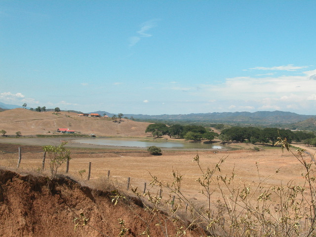Archivo:81 jaguey con campanos finca vecina a La Esperanza.jpg