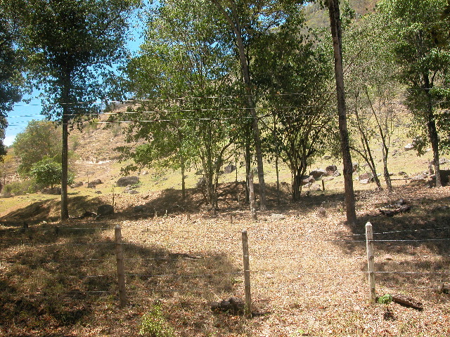 Archivo:130 piedemonte cuenca de arroyo tocuy.jpg