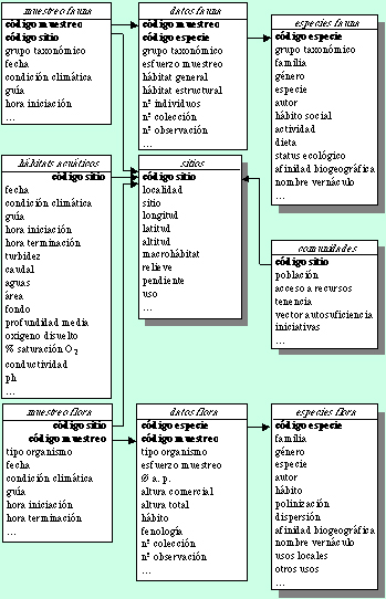 Archivo:Estructura Diversidata.jpg