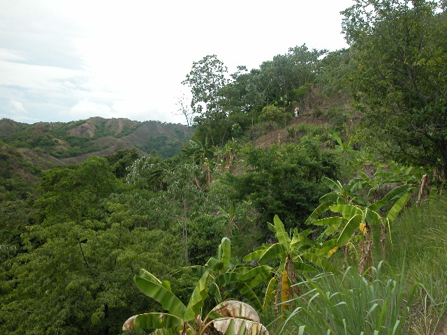 Archivo:PHEGaira9.jpg