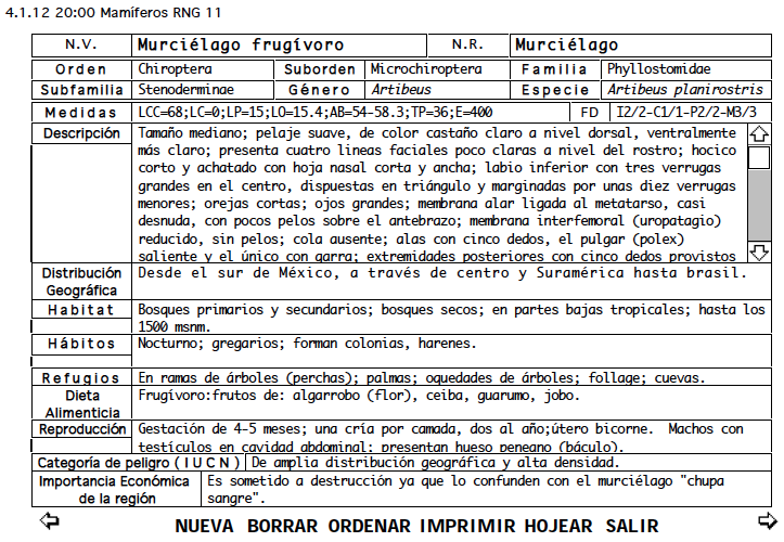 Archivo:Ficha Artibeus planirostris 040112.png