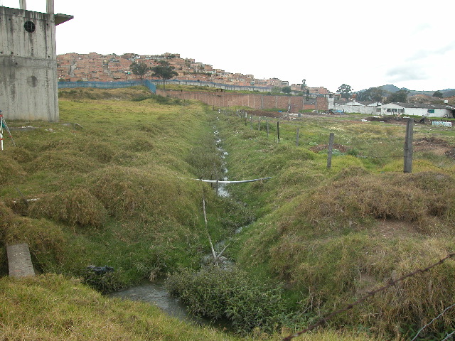 Archivo:10 Neotropicos La Picota arroyo aguas negras.jpg
