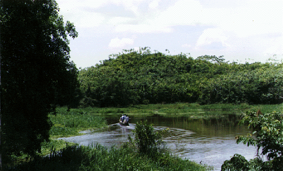 Archivo:Yondo0499 12.png