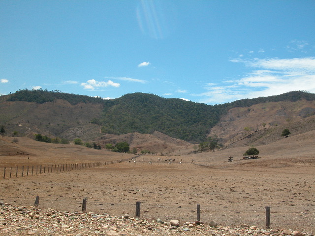 Archivo:69 relictos de bosque.jpg