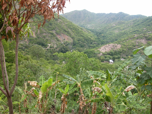 Archivo:PHEGaira11.jpg