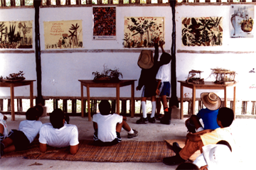 Archivo:Herbarios escolares.png