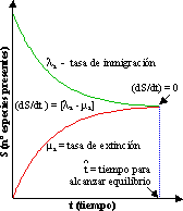 Archivo:Tbi spp equilibrio.png