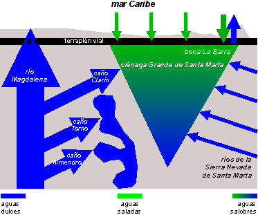 Archivo:Circulacion aguas CGSM.png