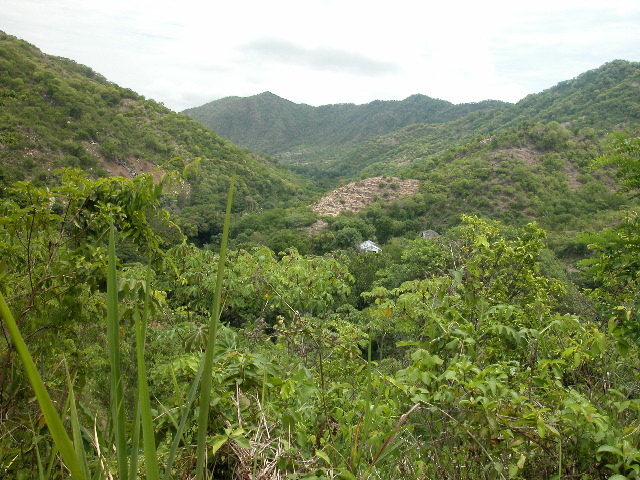 Archivo:PHEGaira5.jpg