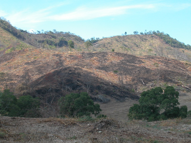Archivo:34 colinas de denudacion manejo de pasturas con fuego.jpg