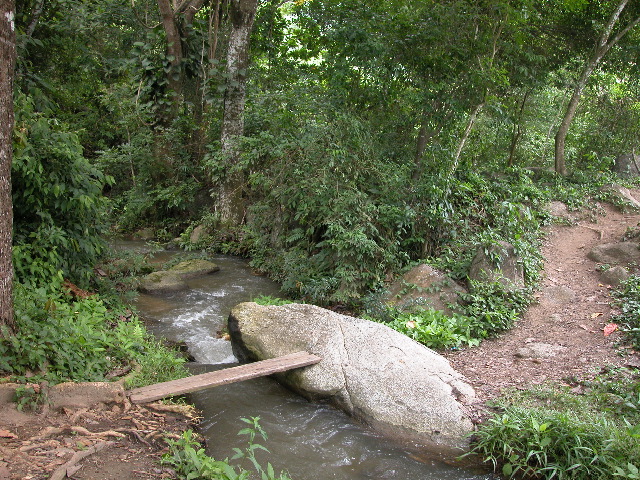 Archivo:PHEGaira3.jpg