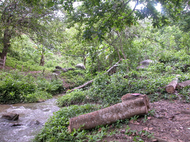 Archivo:PHEGaira4.jpg