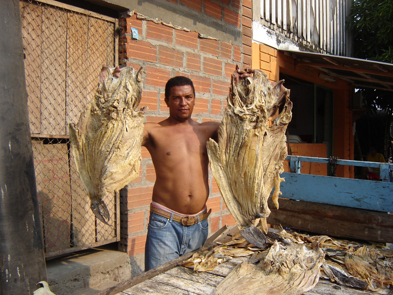 Archivo:2POEM 566.jpg