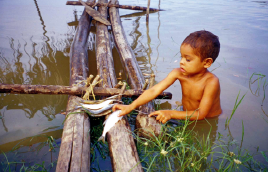 Archivo:Nino pescador.png