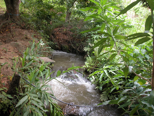 Archivo:PHEGaira16.jpg