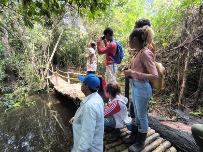 Recorrido, puente caño Raizal, observación guataquíes. Foto: M. Díaz, 21.10.2025