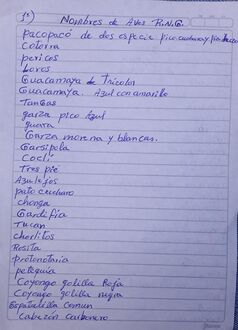 Recorrido periódico de observación de aves; lista de 01.03.22, observador Marcelino Castro. p1/3pp. Foto-facsímil: Nelly Vásquez 01.03.22