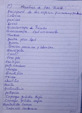 Recorrido periódico de observación de aves; lista de 01.03.22, observador Marcelino Castro. p1/3pp. Foto-facsímil: Nelly Vásquez 01.03.22