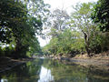 Caño Chucurí 28/02/07 LMOM