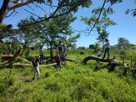 Algunos asistentes al taller otean hacia la ciénaga Orejero desde un mirador natural en el playón sur de la RNG. Foto: Miguel Ángel Díaz Rubiano 12.07.24