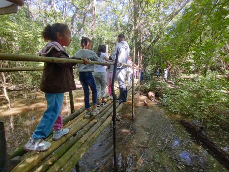 Foto 22. Nuevo puente sobre poza en sendero Paco Cucharo hacia el río. Foto: Miguel Ángel Díaz Rubiano, 7.12.24