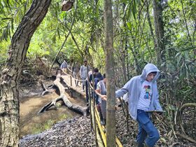 Escolares de la IE La Ribona de la 2a jornada cruzan el puente sobre el caño Raizal durante el recorrido. Foto: M. Díaz, 23.09.2025