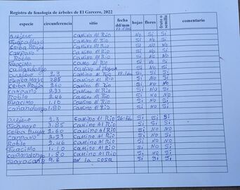 Formato para registro periódico de datos fenológicos de árboles de la RNG. Foto-facsímil: Nelly Vásquez 01.03.22