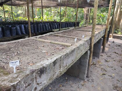 Foto 2. Germinadores altos con semillas recién sembradas, con rótulos plásticos. (M. Díaz, 19.02.2025)