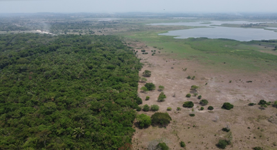 Lindero SE de la Reserva Natural El Garcero con la hacienda Paraíso. La ciénga Paraíso-Mata de Zarza a la recha; al fondo estribaciones de la serranía de San Lucas. Foto: tomada con drone, Julian Restrepo Molina 26.03.22