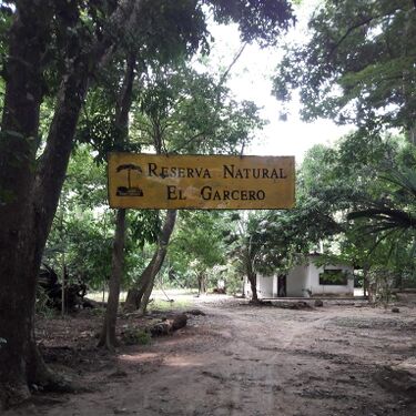 El campamento de la RNG visto desde la vía a Hatillo de Loba Foto: Nelly Vásquez, 19.6.94