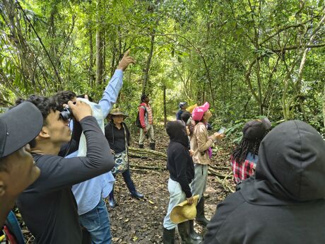 Avistamiento de micos cariblancos sendero De La Palma Foto: M. Díaz, 30.09.2025