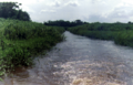 Caño Negro, vereda El Totumo