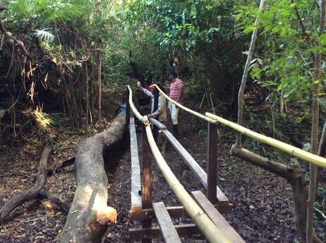 Foto 3. Construcción de puente sobre el caño Raizal, entre senderos. Soportes de madera y de guadua sujetos con tornillos y alambre respectivamente. Foto: M. Díaz, 5.09.2025